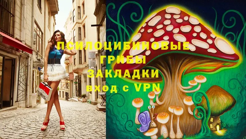 mega онион  Покачи  Галлюциногенные грибы Psilocybine cubensis 